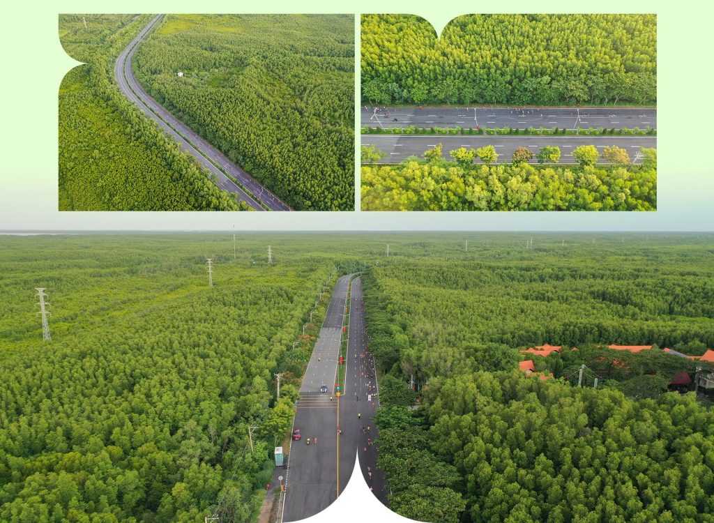 Vinhomes Cần Giờ | Quy hoạch tổng thể của siêu đô thị lấn biển 5 Vinhomes Green Paradise Cần Giờ - Đại đô thị lấn biển chuẩn ESG